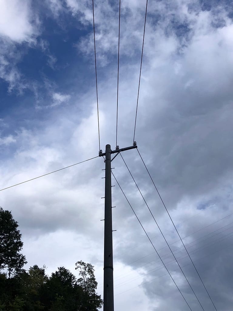 支線 | 電柱ネット中部